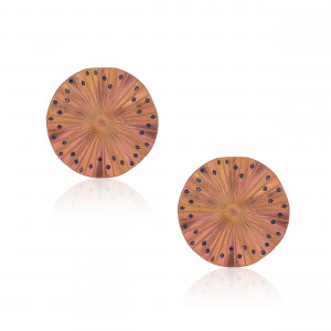 A.ER.AP0025_Anastasia Kessaris_Disco Clique Titanium Sapphire Earrings