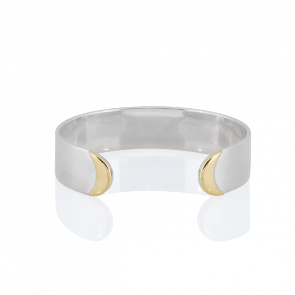 BRP201311 Anastasia Kessaris Custom Adorned Silver and Gold Bangle